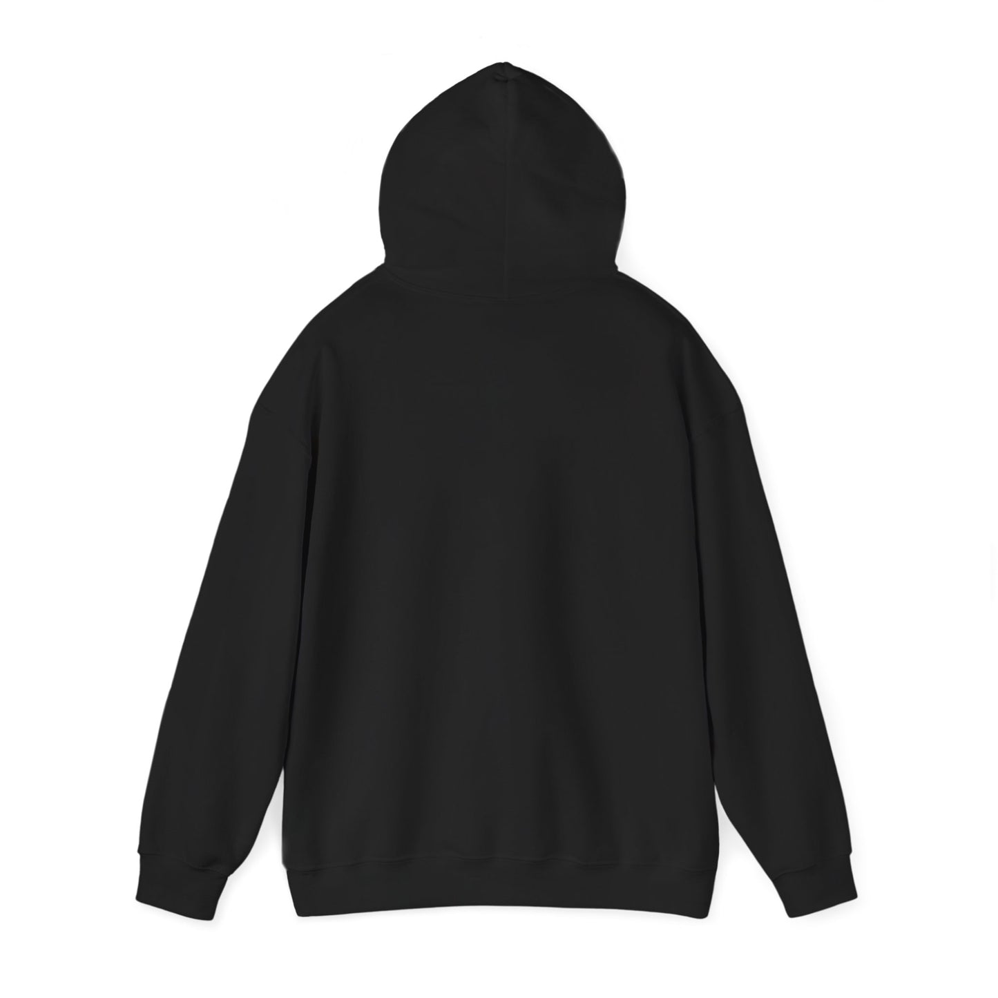 Christian Inspirational Hoodie, Faith-based Apparel, Religious Gift, Long Sleeve Tee, Spiritual Wear, Christmas, Easter