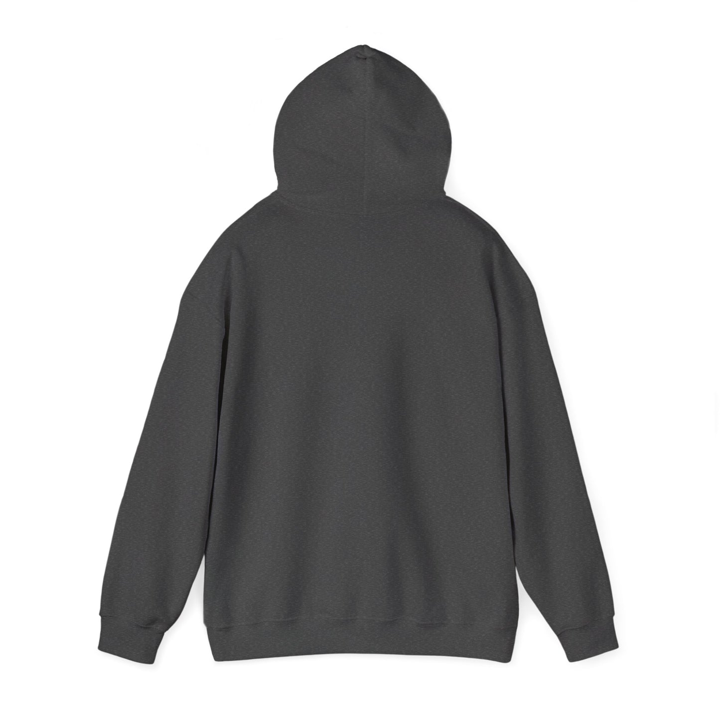 Christian Inspirational Hoodie, Faith-based Apparel, Religious Gift, Long Sleeve Tee, Spiritual Wear, Christmas, Easter