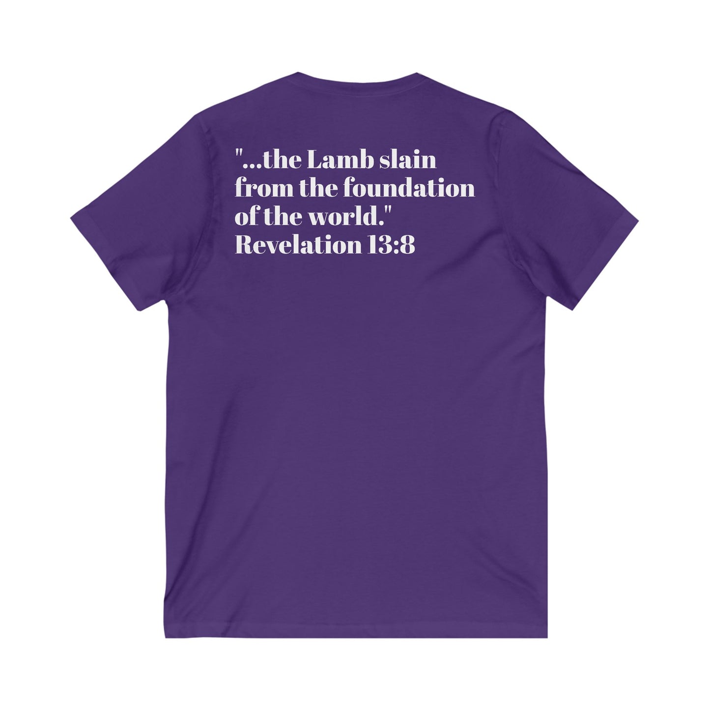 Unisex Jersey Short Sleeve V-Neck Tee