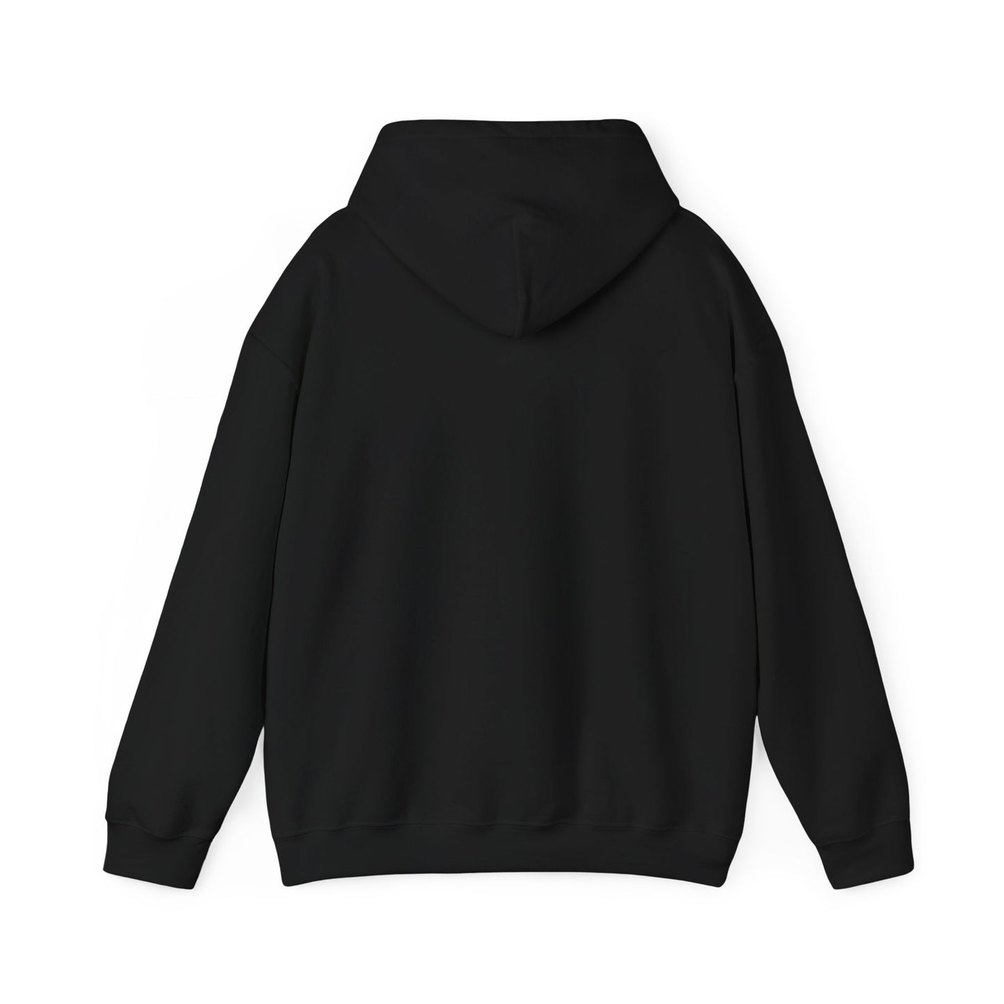 Christian Inspirational Hoodie, Faith-based Apparel, Religious Gift, Long Sleeve Tee, Spiritual Wear, Christmas, Easter