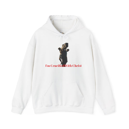 Christian Inspirational Hoodie, Faith-based Apparel, Religious Gift, Long Sleeve Tee, Spiritual Wear, Christmas, Easter